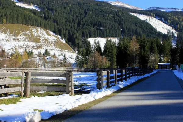 冬天的阿尔卑斯山奥地利 — 图库照片