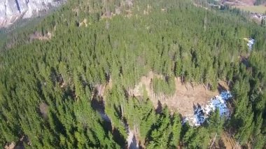 Alpler üzerinden uçan orman Avusturya, Hinterstoder dağlarında