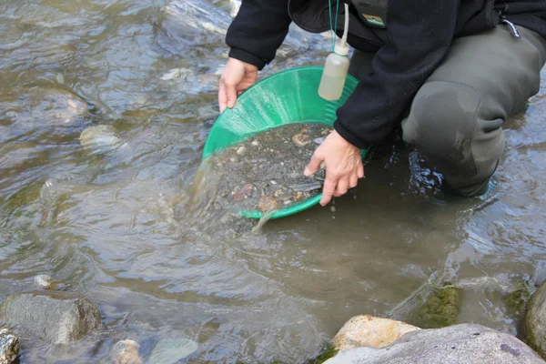 Minería de pepitas de oro del río — Foto de Stock