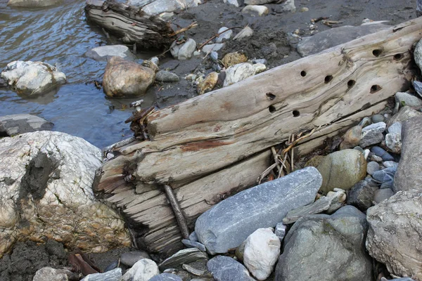 Goldklumpen aus dem Fluss — Stockfoto