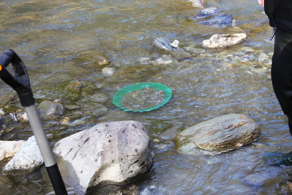 Estrazione di pepite d'oro dal fiume — Foto Stock