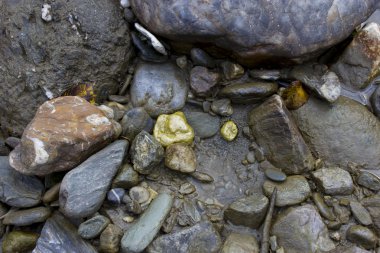 Akışı altın nuggets