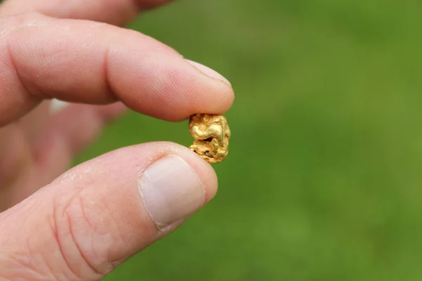 Altın nugget gerçek