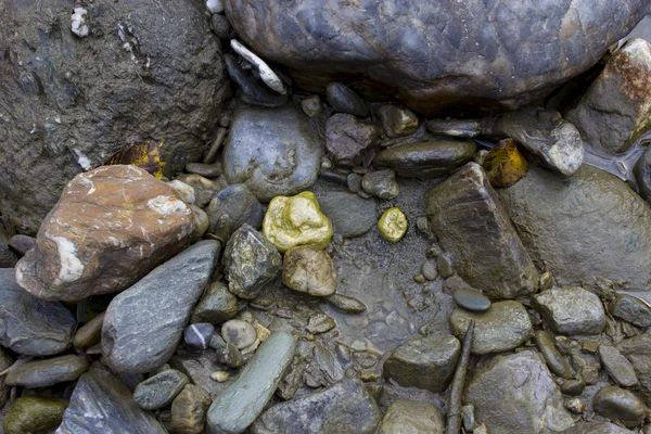 Pepitas de oro en el arroyo — Foto de Stock
