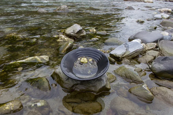 Pepitas panning ouro — Fotografia de Stock