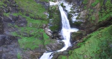 Alpler, taze temiz su ve yeşil Lake güzel şelale.