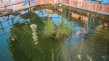 Balear Adaları Mallorca, Finca Akdeniz mimarisi