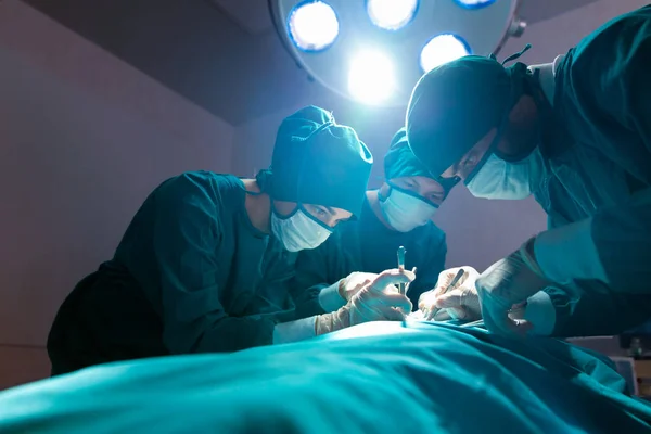 Doktorlar Modern Tıbbi Ekipmanlarla Donatılmış Hastaları Ameliyathanelerde Tedavi Ediyorlar — Stok fotoğraf