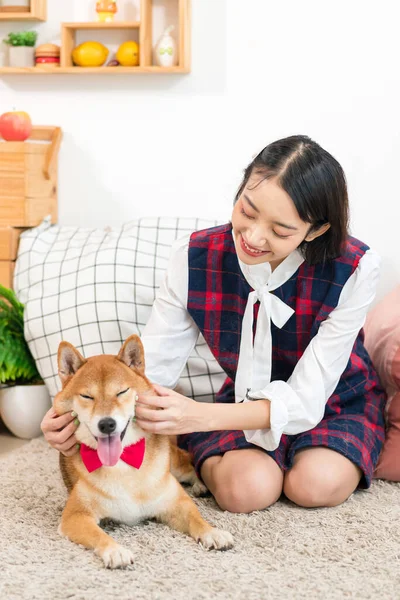 居間で芝犬と遊んでいる女の子 — ストック写真