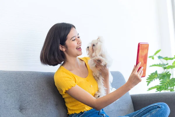 An Asian woman using a tablet and living with a white maltese.