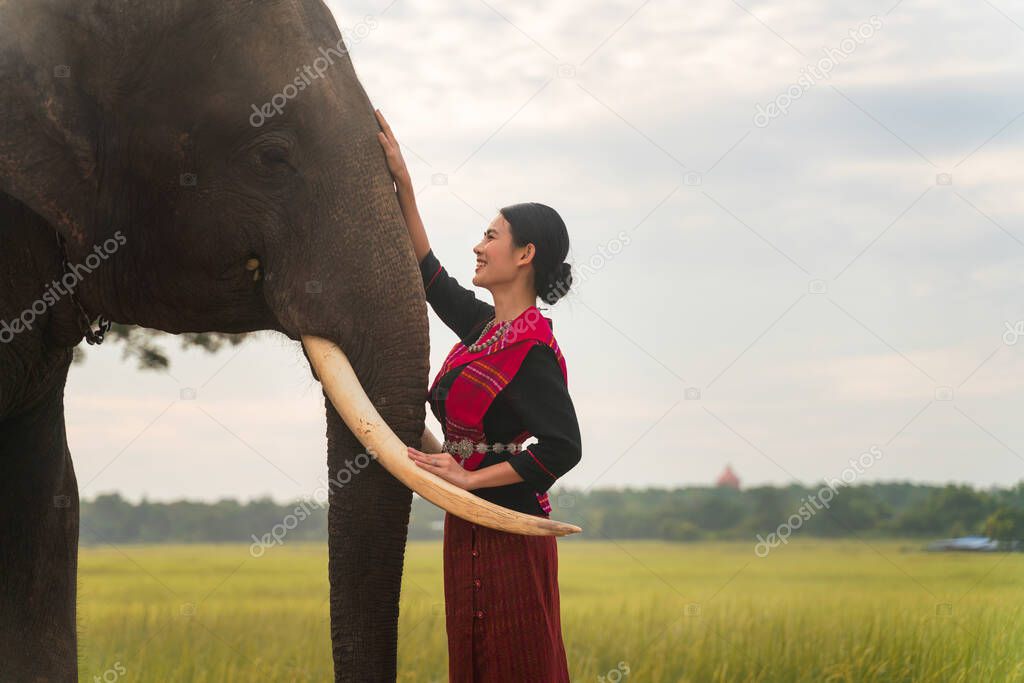 Asian woman and big elephant in the Forest. Elephant with beautiful girl in asian countryside, Surin, Thailand.