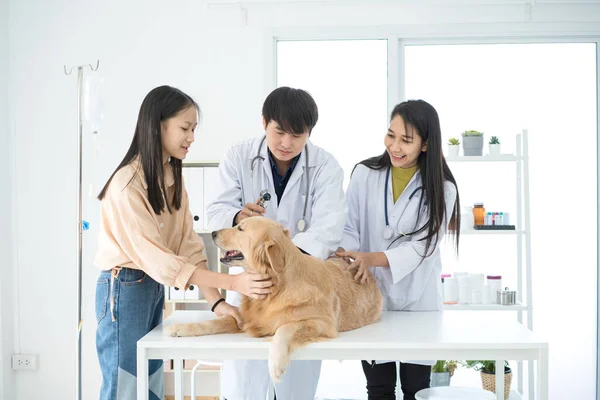 Dueño Del Perro Golden Retriever Llevar Perro Enfermo Veterinario Buena —  Fotos de Stock