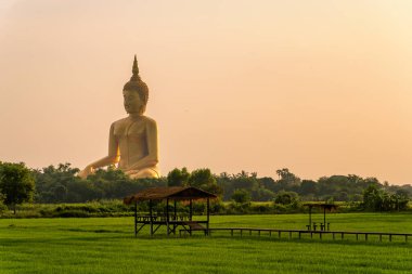 Büyük Buda, Wat Muang Ang Tanga Eyaleti, Tayland