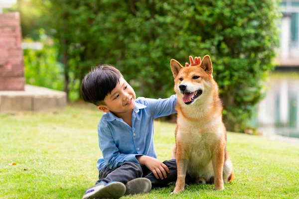 Bir çocuk havuzun yanında bir köpekle oturuyor. Parkta Shiba Inu 'ya sarılan Asyalı çocuk..