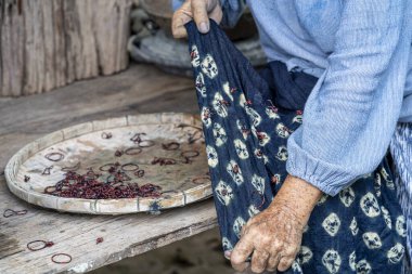 Tayland çivit pamuğunun ustaları. Yaşlı bir kadın pamuktan yapılmış ipliği inceliyor. Yerel usta Sakon Nakhon bölgesinin orjinal Indigo Cotton Weaver 'ıdır..