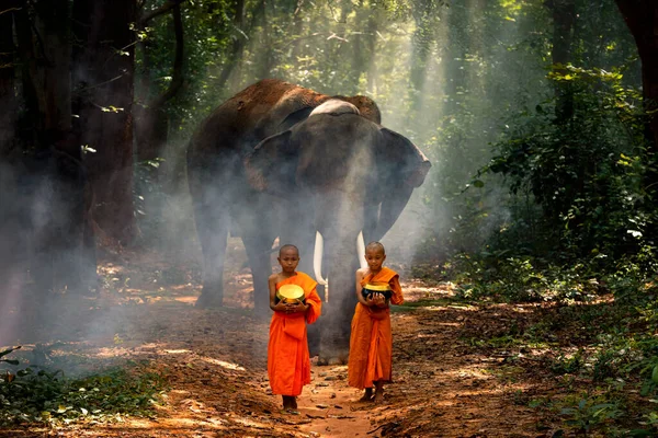 Mnisi Mnisi Chodzą Jałmużnę Lesie Pomiędzy Wioskami Gdzie Słonie Podążają — Zdjęcie stockowe