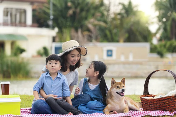 Mama Córka Urządzają Piknik Bawią Się Szczeniakami Shiba Inu Podczas — Zdjęcie stockowe