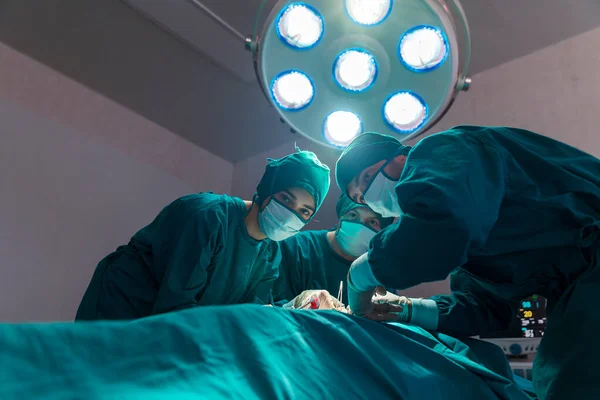 Bir Grup Doktor Pratisyen Doktor Hastane Ameliyathanesinde Ameliyat Yapıyor Hastanedeki — Stok fotoğraf