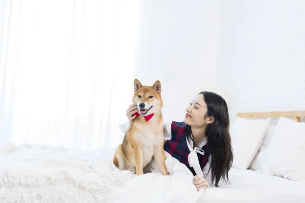 寝室で赤い芝犬と遊んでいる若い女性 日本犬 — ストック写真