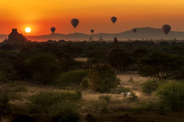 Conducteur Chariot Wagon Travers Nombreuses Pagodes Bagan Bagan Est Une — Photo