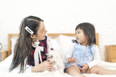 İki genç Asyalı kadın bir köpekle yataktaydı. Maltalı yavruların yatakta beyaz kürkleri vardır.. 