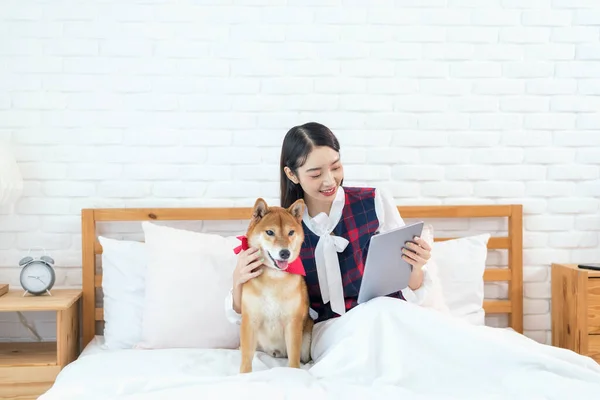 タブレットを使用して座っている若いアジアの女性が犬と一緒にベッドにいます 芝犬と女の子 — ストック写真