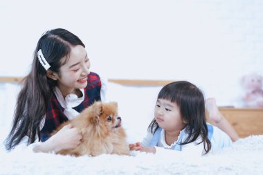 Yatakta küçük bir köpekle oynayan iki kız. Pomeranian yatakta bir kızla. 