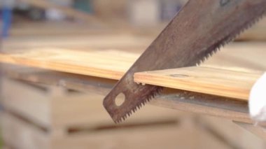 Elle testere kullanan olgun bir adam. Marangozlar odun kesiyor..