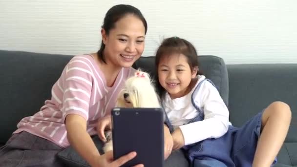 マルタ犬とリビングルームでタブレットコンピュータを使用している母親と娘 — ストック動画