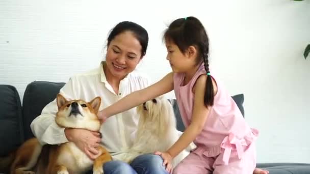 茶色い芝犬と白いマルタを持つリビングルームで彼女の娘と一人の母親 — ストック動画