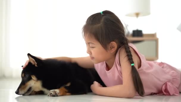 一个女孩在卧室里和一个叫Shiba Inu的女孩一起玩养小狗的小女孩 — 图库视频影像
