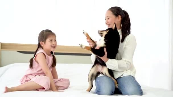 Bir Anne Kızı Dizüstü Bilgisayar Kullanıyor Kanepede Bir Shiba Inu — Stok video