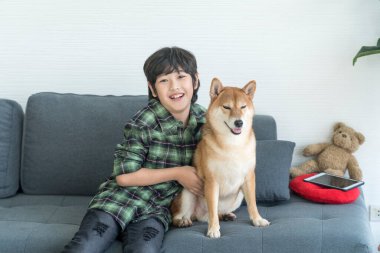 Çocuk oturma odasındaki kanepede bir Shiba Inu 'ya sarılıyor. Sarıl köpek..