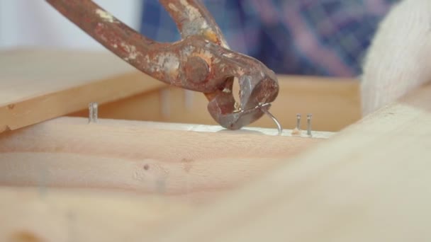Carpinteiro Está Usando Alicate Para Extrair Unhas Carpinteiro Tirando Prego — Vídeo de Stock