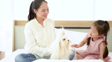 Anne ve kızı uzun saçlı beyaz bir köpeği tımar ediyorlar. Malta köpeği..