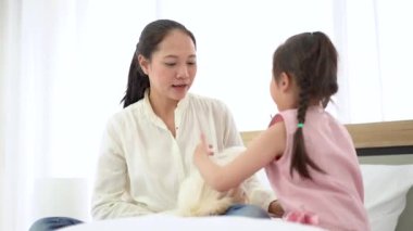 Anne ve kızı uzun saçlı beyaz bir köpeği tımar ediyorlar. Malta köpeği..