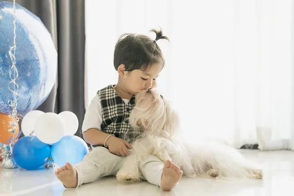 Chico Está Besando Perro Maltés Niño Feliz Vacaciones —  Fotos de Stock