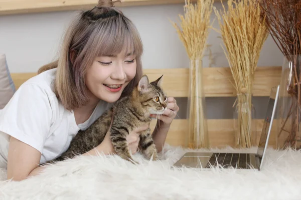 Work from home with cat. Young Asian woman playing with a cat in a living room with a laptop computer.