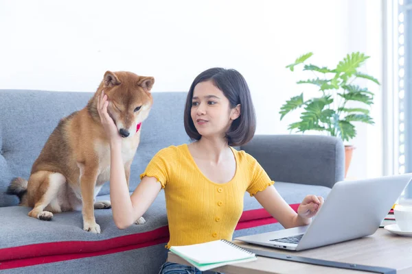 Genç bir kadın, tecrit döneminde bir ev formu üzerinde çalışıyor. Genç bir Asyalı kadın oturma odasında dizüstü bilgisayarı ve not defteri olan bir köpekle oynuyor. Kız ve Shiba Inu. 