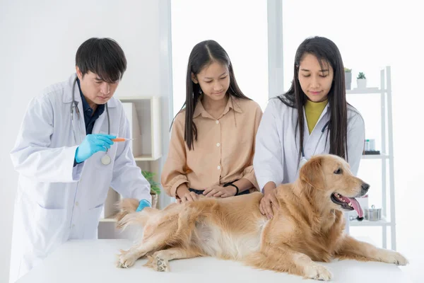 Eigenaar Van Golden Retriever Hond Meet Koorts Voor Hond Dierenartsen — Stockfoto
