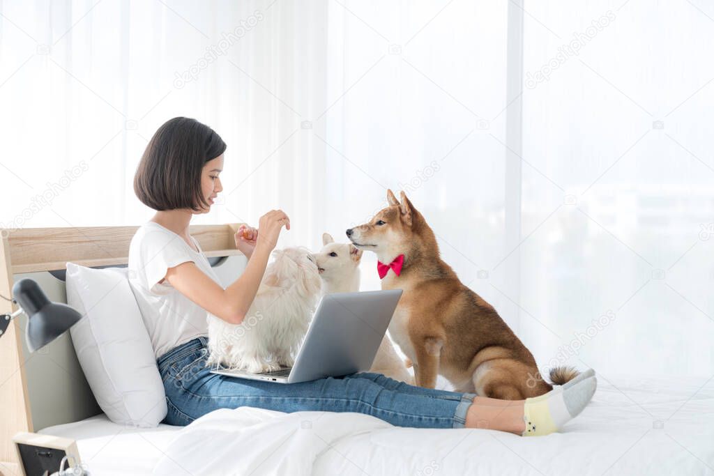 A young Asian woman with a Shiba Inu and a Maltese puppy in her bedroom. 