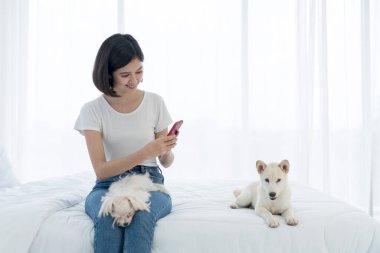 Genç Asyalı kadınlar cep telefonlarıyla fotoğraf çekiyorlar. Genç Asyalı kadınlar ve kız bir köpekle yataktaydılar. Kız ve beyaz Hokkaido inu köpek ve Malta köpeği.