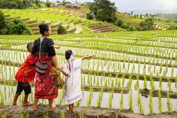 Granjero Hmong Mirando Los Campos Arroz Terrazas Los Agricultores Cultivan — Foto de Stock