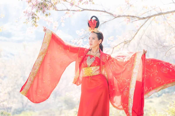 中国の女の子は古代中国のドレスや青サムドレスを身に着けています桜と伝統的な中国のドレス — ストック写真