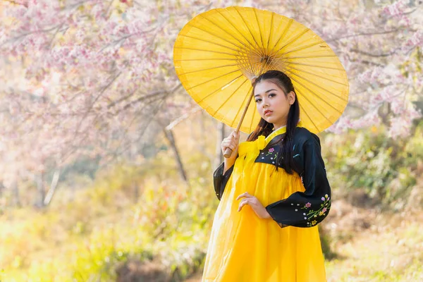 Mulher Bonita Vestindo Tradicional Hanbok Coreano Com Flor Cereja Primavera — Fotografia de Stock