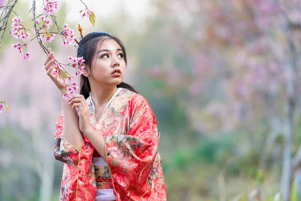 Uma Jovem Mulher Mostrando Flores Cereja Sua Mão Sob Uma — Fotografia de Stock