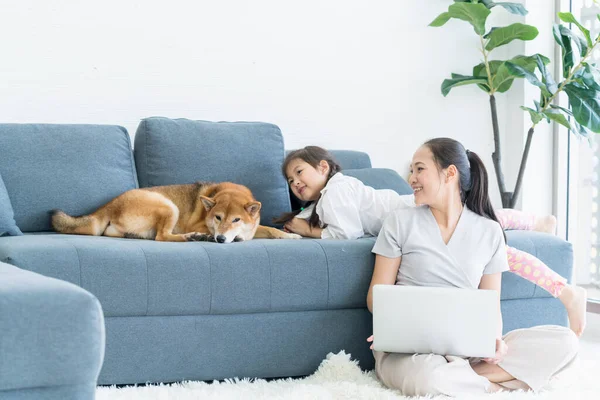 ママと赤ちゃんと柴犬 母と娘はソファの上で寝ている芝犬に微笑んだ — ストック写真