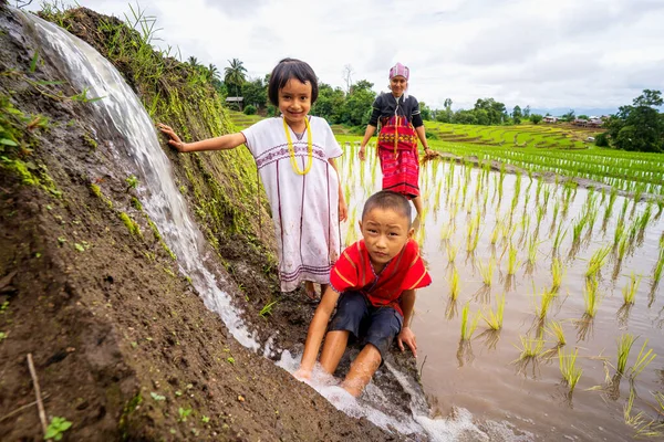 Hilltribe Gyerekek Vizet Játszanak Gyönyörű Rizsföldeken Ban Bong Piang Legszebb — Stock Fotó