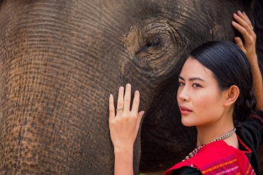 The Big elephant and Asian woman in the Forest. Elephant with beautiful girl in asian countryside, Surin, Thailand.