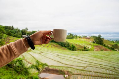 Sıcak kahve hazır. Ahşap zeminde kahve fincanı, pirinç terasları manzaralı.. 